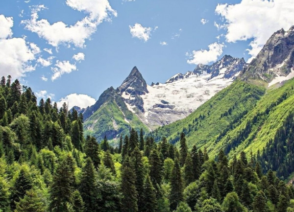 Экскурсия из Железноводска в Домбай на Минивэне до 8 человек.