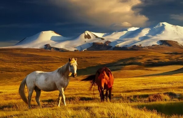 РЕТРИТ МОНГОЛИЯ- АЛТАЙ ПУТЬ ГЕРОЯ с 4-11 августа