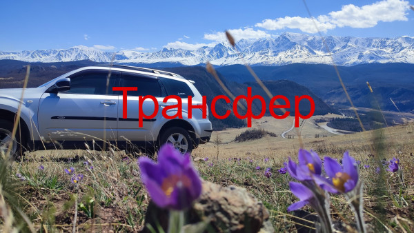 Трансфер аэропорт Горно Алтайск - Чемал до 4 мест, кроссовер