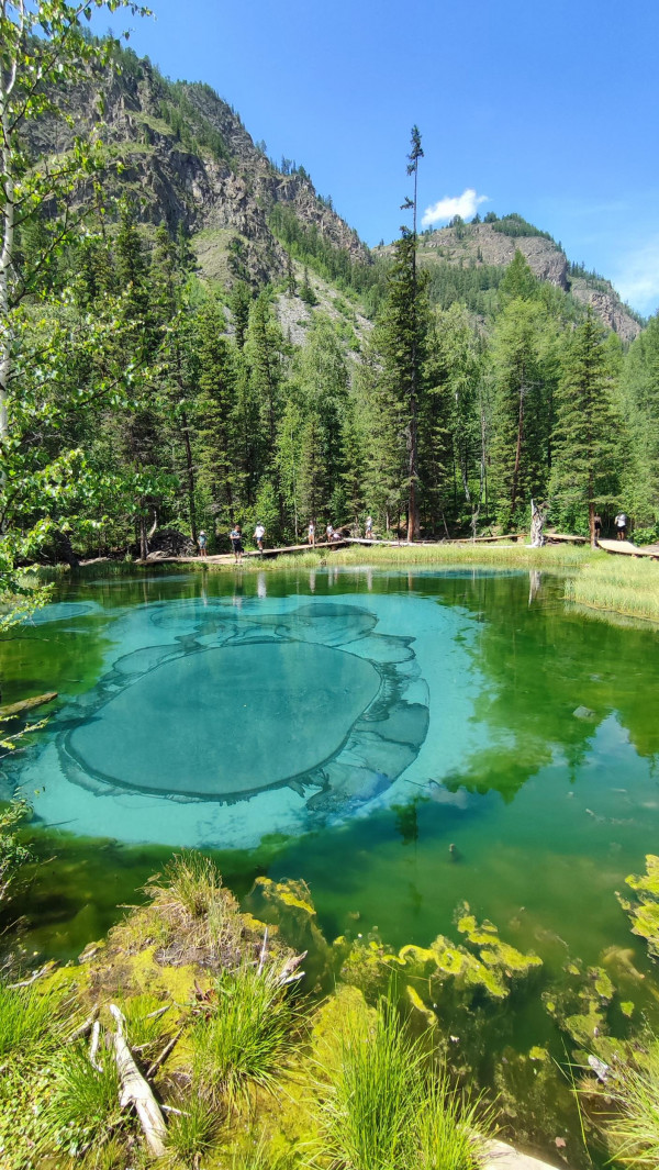 Чуйский тракт 1 день - Лучшие виды Алтая