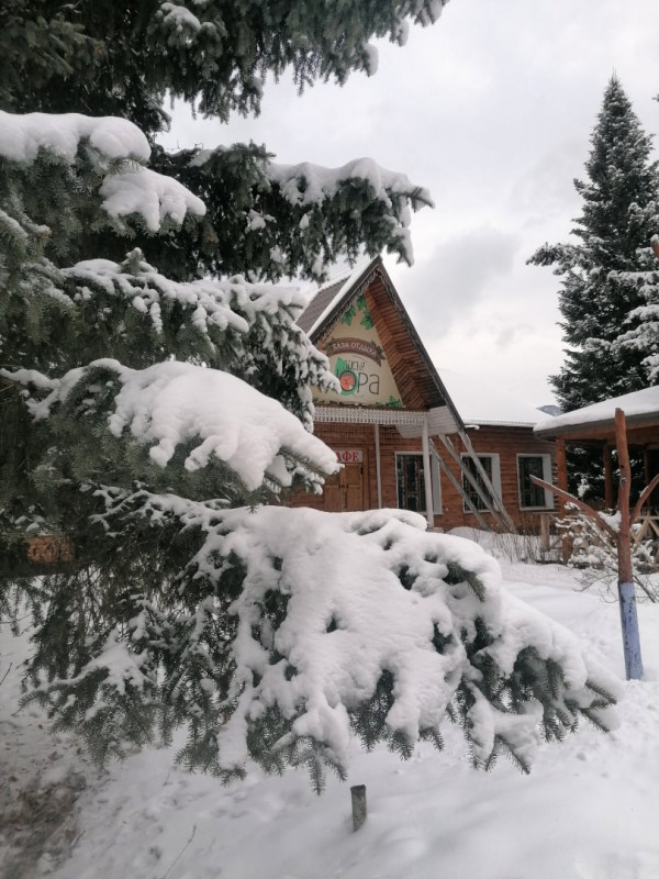 Усадьба Лисья нора