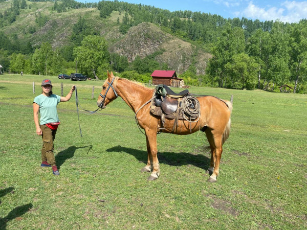 Конная прогулка вдоль горной реки.